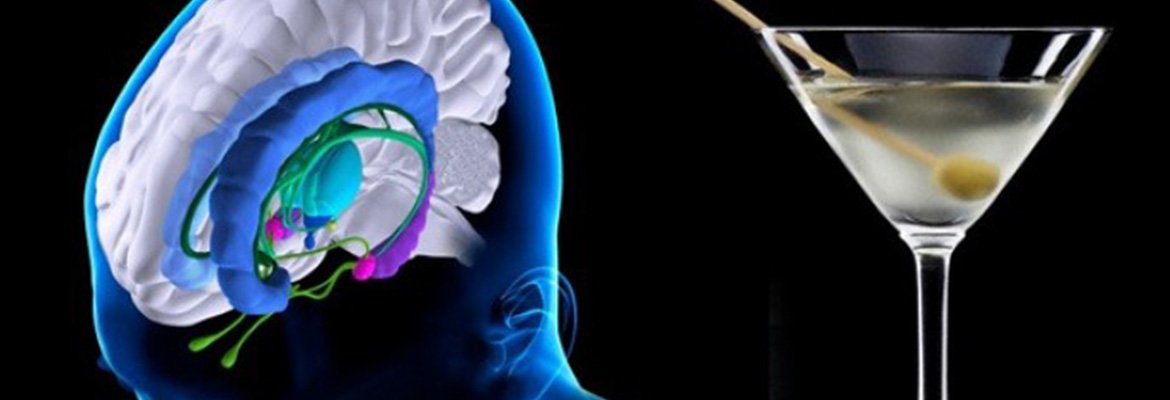 Actualment esteu veient Alcohol i neurones, desmuntant el mite i revelant el poder de la recuperació neuronalL’alcohol destrueix neurones?