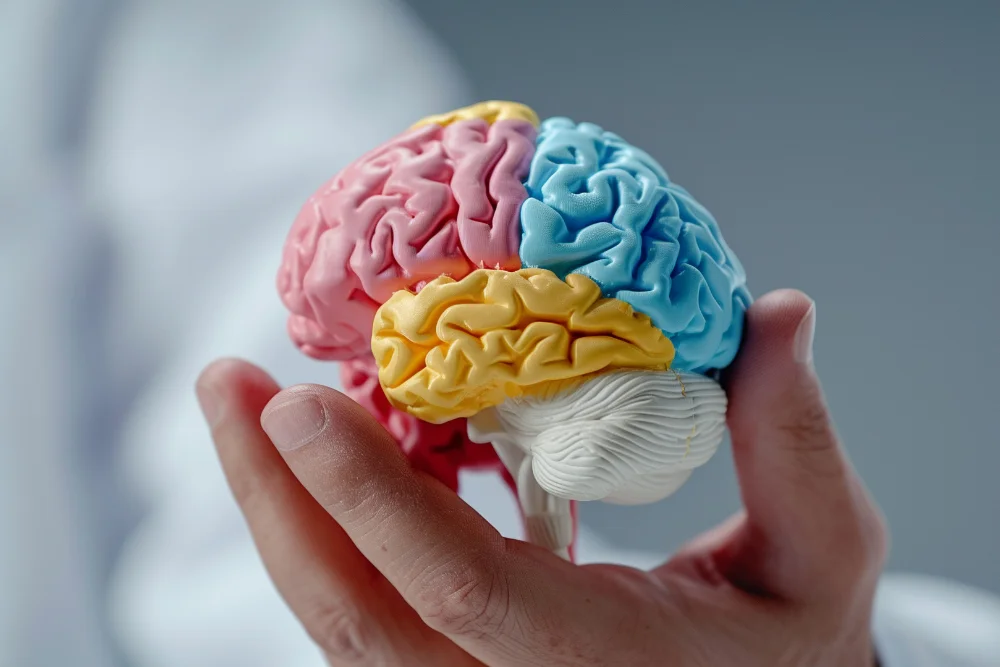 En este momento estás viendo ¿Qué pasa en la mente de una persona que consume?